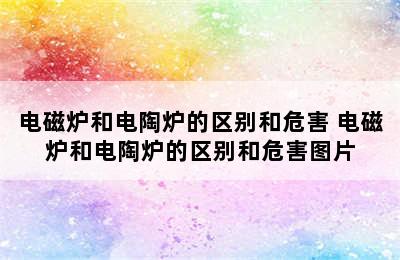 电磁炉和电陶炉的区别和危害 电磁炉和电陶炉的区别和危害图片